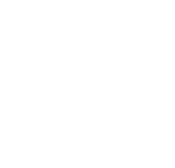 level icon